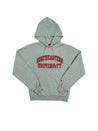 sudadera northeastern university champions